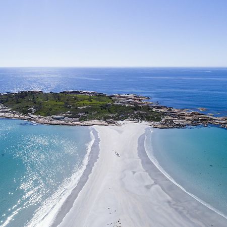 Diamond Island Resort&Bicheno Penguin Show Exterior foto