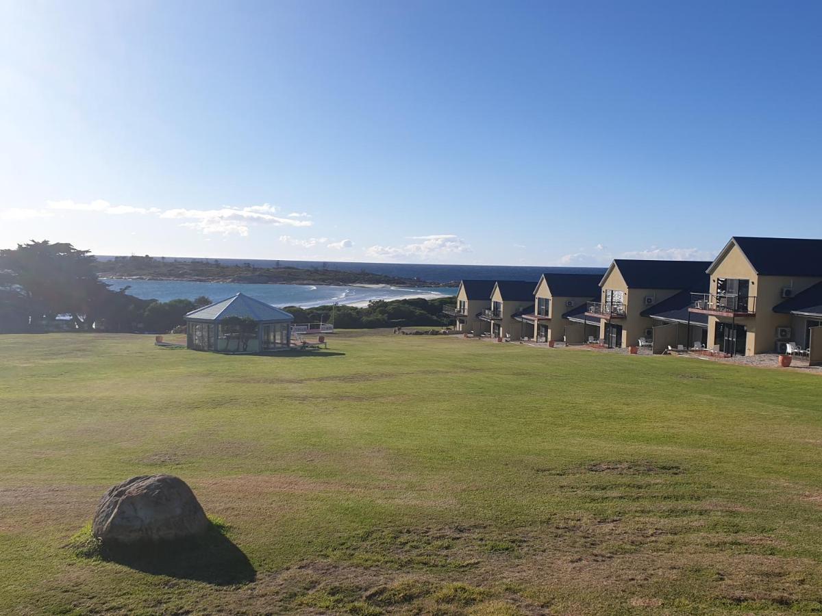 Diamond Island Resort&Bicheno Penguin Show Exterior foto